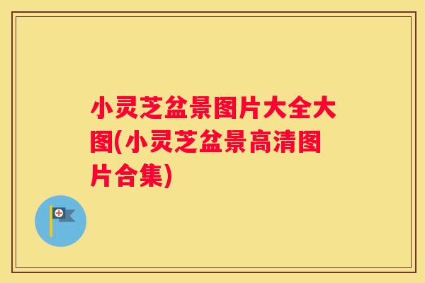 小灵芝盆景图片大全大图(小灵芝盆景高清图片合集)