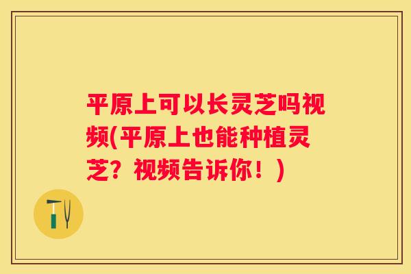 平原上可以长灵芝吗视频(平原上也能种植灵芝？视频告诉你！)