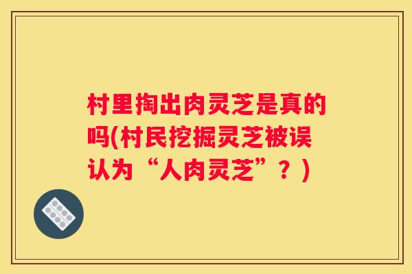 村里掏出肉灵芝是真的吗(村民挖掘灵芝被误认为“人肉灵芝”？)