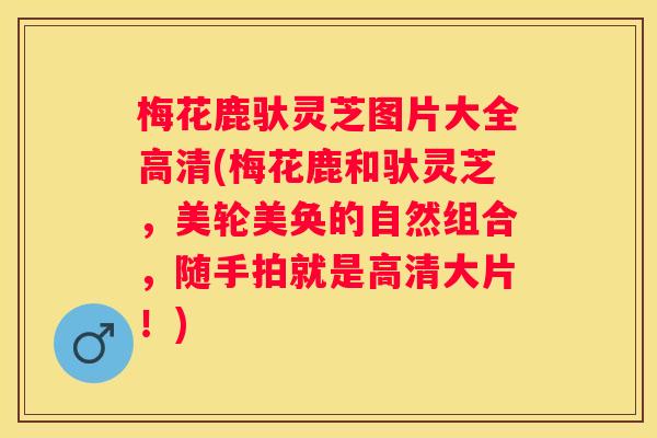 梅花鹿驮灵芝图片大全高清(梅花鹿和驮灵芝，美轮美奂的自然组合，随手拍就是高清大片！)