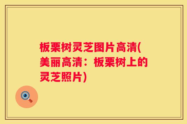 板栗树灵芝图片高清(美丽高清：板栗树上的灵芝照片)