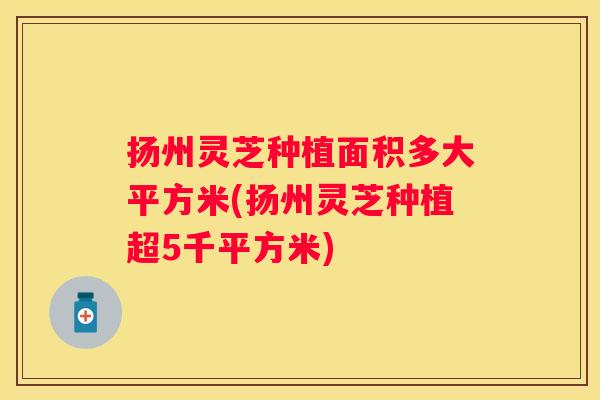 扬州灵芝种植面积多大平方米(扬州灵芝种植超5千平方米)