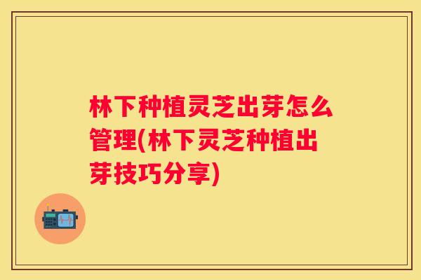 林下种植灵芝出芽怎么管理(林下灵芝种植出芽技巧分享)