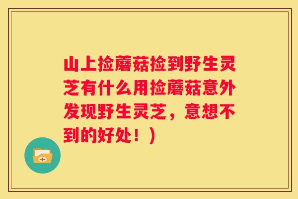 山上捡蘑菇捡到野生灵芝有什么用捡蘑菇意外发现野生灵芝，意想不到的好处！)