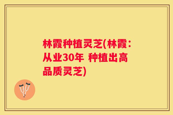 林霞种植灵芝(林霞：从业30年 种植出高品质灵芝)