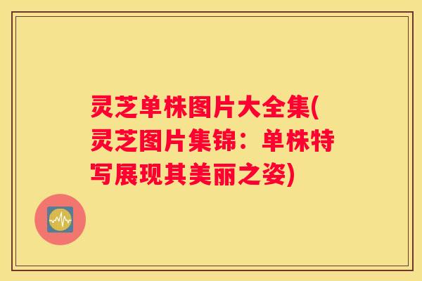 灵芝单株图片大全集(灵芝图片集锦:单株特写展现其美丽之姿) 灵芝单株图片大全集(灵芝图片集锦:单株特写展现其美丽之姿)