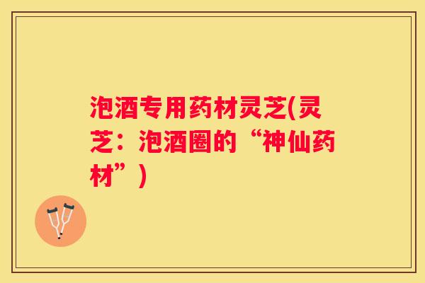 泡酒专用药材灵芝(灵芝：泡酒圈的“神仙药材”)