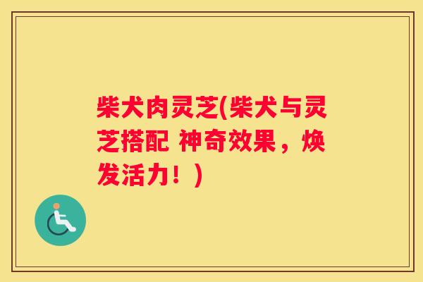 柴犬肉灵芝(柴犬与灵芝搭配 神奇效果,焕发活力!) 柴犬肉灵芝(柴犬与灵芝搭配 神奇效果,焕发活力!)