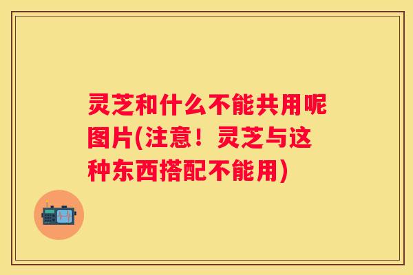 灵芝和什么不能共用呢图片(注意！灵芝与这种东西搭配不能用)