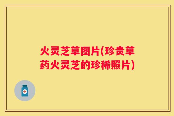 火灵芝草图片(珍贵草药火灵芝的珍稀照片)