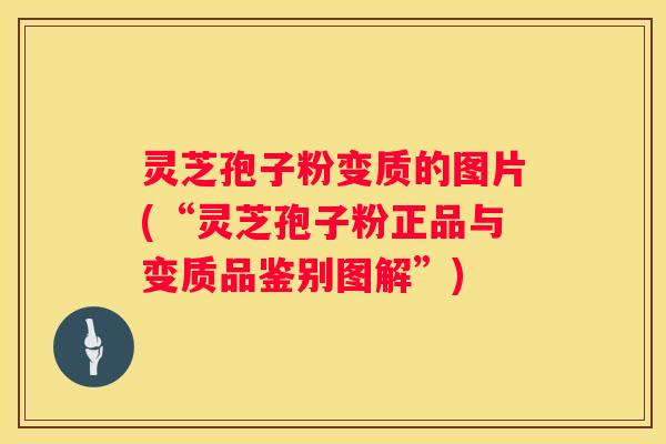 灵芝孢子粉变质的图片(“灵芝孢子粉正品与变质品鉴别图解”)