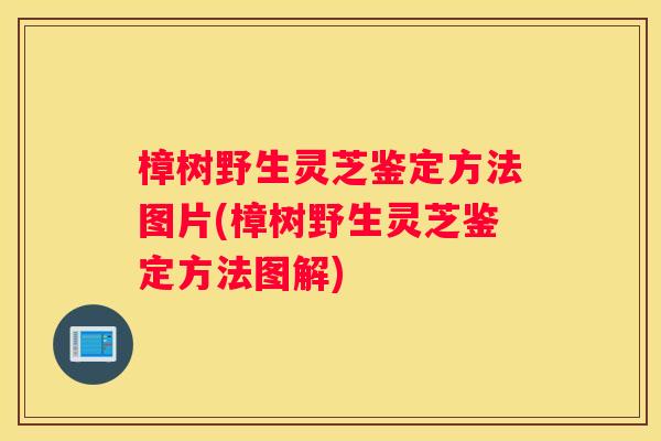 樟树野生灵芝鉴定方法图片(樟树野生灵芝鉴定方法图解)