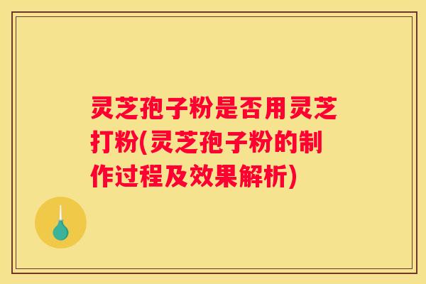 灵芝孢子粉是否用灵芝打粉(灵芝孢子粉的制作过程及效果解析)