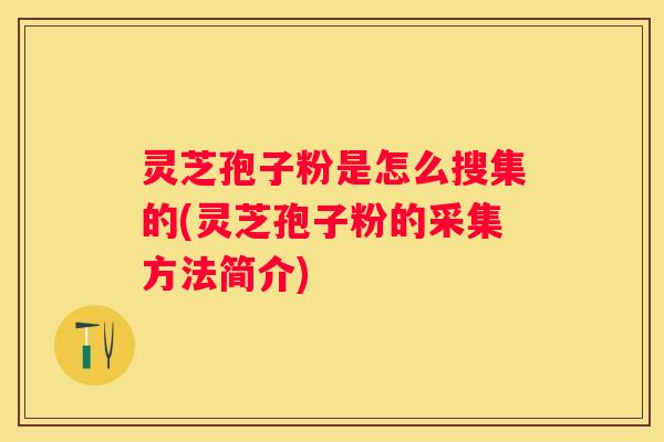 灵芝孢子粉是怎么搜集的(灵芝孢子粉的采集方法简介)