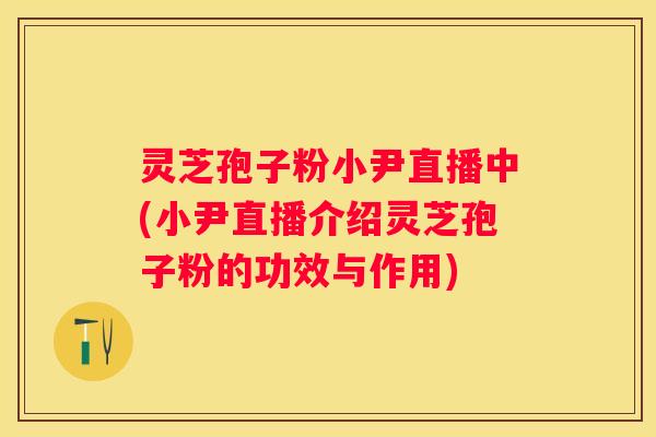 灵芝孢子粉小尹直播中(小尹直播介绍灵芝孢子粉的功效与作用)