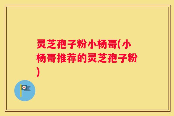 灵芝孢子粉小杨哥(小杨哥推荐的灵芝孢子粉)