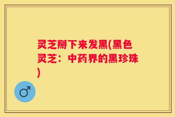 灵芝掰下来发黑(黑色灵芝：界的黑珍珠)