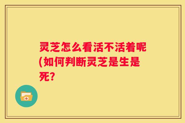 灵芝怎么看活不活着呢(如何判断灵芝是生是死？