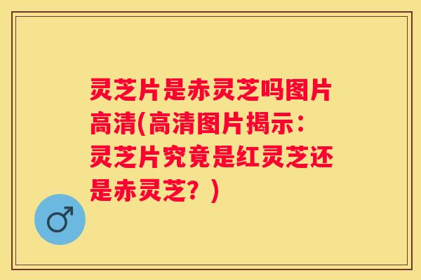 灵芝片是赤灵芝吗图片高清(高清图片揭示：灵芝片究竟是红灵芝还是赤灵芝？)