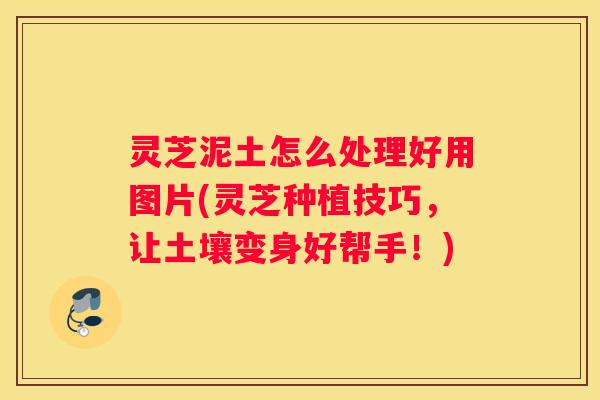 灵芝泥土怎么处理好用图片(灵芝种植技巧，让土壤变身好帮手！)