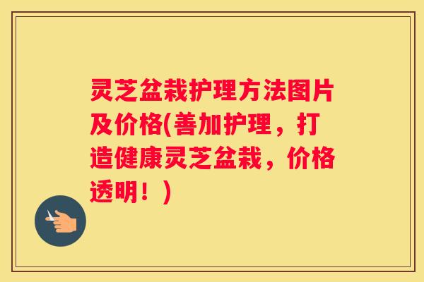灵芝盆栽护理方法图片及价格(善加护理，打造健康灵芝盆栽，价格透明！)
