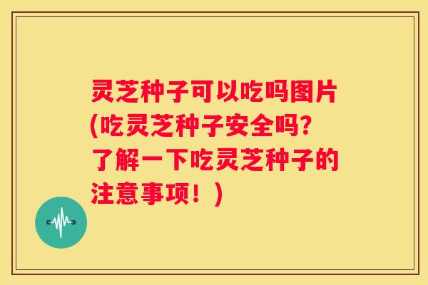 灵芝种子可以吃吗图片(吃灵芝种子安全吗？了解一下吃灵芝种子的注意事项！)