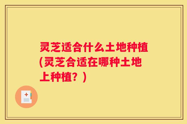 灵芝适合什么土地种植(灵芝合适在哪种土地上种植？)