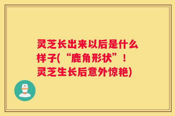 灵芝长出来以后是什么样子(“鹿角形状”！灵芝生长后意外惊艳)