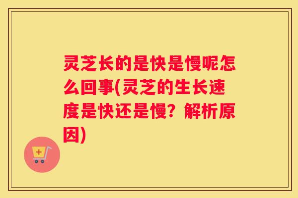 灵芝长的是快是慢呢怎么回事(灵芝的生长速度是快还是慢？解析原因)