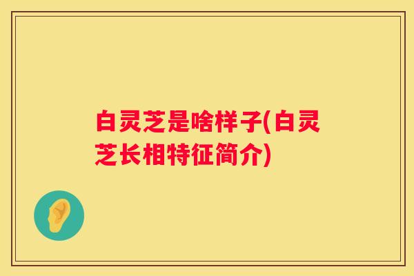 白灵芝是啥样子(白灵芝长相特征简介)