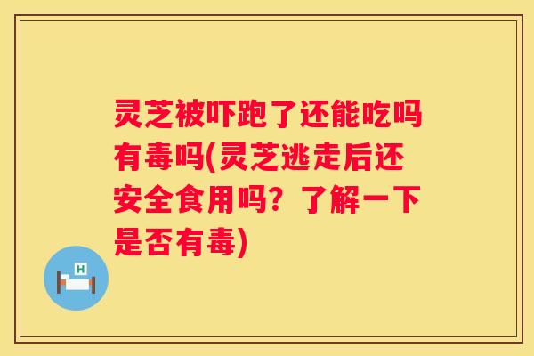 灵芝被吓跑了还能吃吗有毒吗(灵芝逃走后还安全食用吗？了解一下是否有毒)