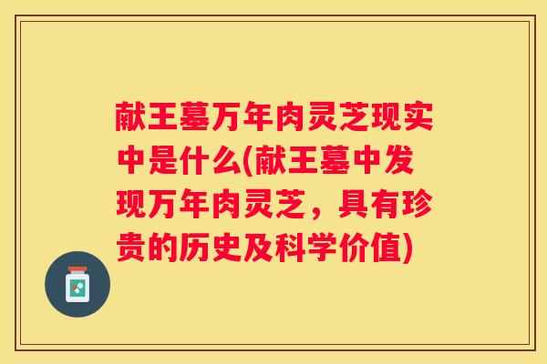 献王墓万年肉灵芝现实中是什么(献王墓中发现万年肉灵芝，具有珍贵的历史及科学价值)