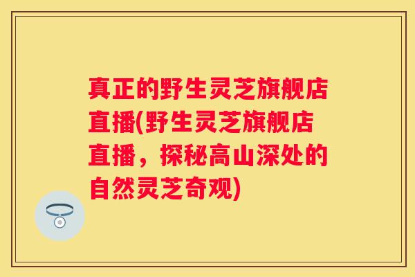 真正的野生灵芝旗舰店直播(野生灵芝旗舰店直播，探秘高山深处的自然灵芝奇观)