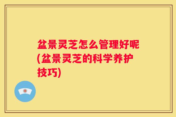盆景灵芝怎么管理好呢(盆景灵芝的科学养护技巧)