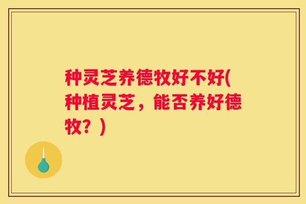 种灵芝养德牧好不好(种植灵芝，能否养好德牧？)