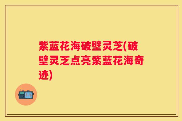 紫蓝花海破壁灵芝(破壁灵芝点亮紫蓝花海奇迹)