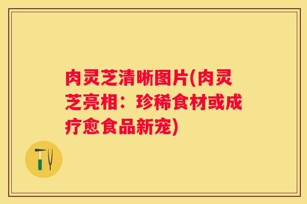 肉灵芝清晰图片(肉灵芝亮相：珍稀食材或成疗愈食品新宠)