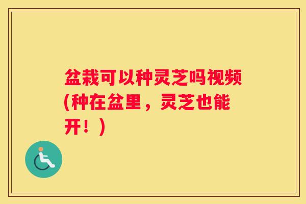 盆栽可以种灵芝吗视频(种在盆里，灵芝也能开！)