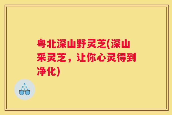 粤北深山野灵芝(深山采灵芝，让你心灵得到净化)