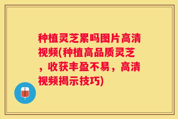 种植灵芝累吗图片高清视频(种植高品质灵芝，收获丰盈不易，高清视频揭示技巧)
