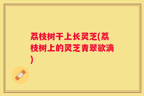荔枝树干上长灵芝(荔枝树上的灵芝青翠欲滴)