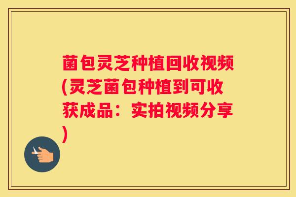 菌包灵芝种植回收视频(灵芝菌包种植到可收获成品：实拍视频分享)