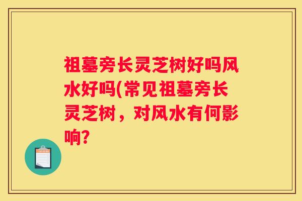 祖墓旁长灵芝树好吗风水好吗(常见祖墓旁长灵芝树，对风水有何影响？