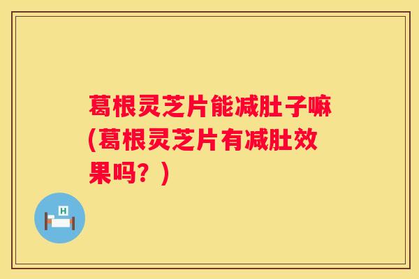 葛根灵芝片能减肚子嘛(葛根灵芝片有减肚效果吗？)