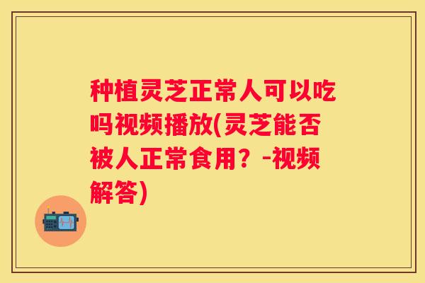 种植灵芝正常人可以吃吗视频播放(灵芝能否被人正常食用？-视频解答)
