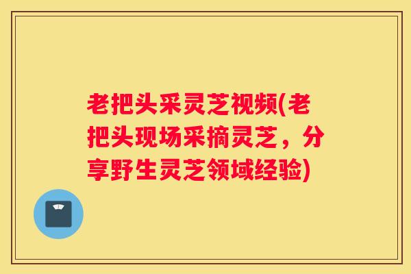 老把头采灵芝视频(老把头现场采摘灵芝，分享野生灵芝领域经验)
