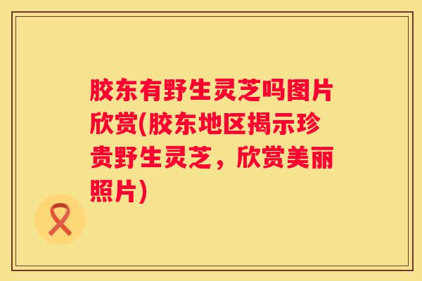 胶东有野生灵芝吗图片欣赏(胶东地区揭示珍贵野生灵芝,欣赏美丽照片) 胶东有野生灵芝吗图片欣赏(胶东地区揭示珍贵野生灵芝,欣赏美丽照片)