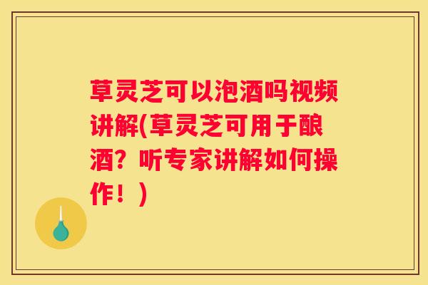 草灵芝可以泡酒吗视频讲解(草灵芝可用于酿酒？听专家讲解如何操作！)