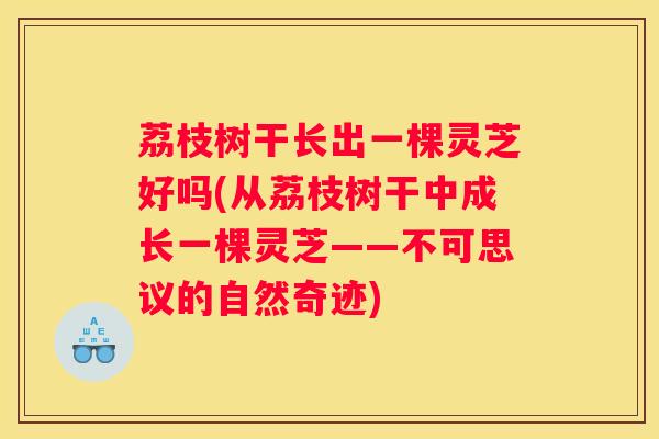 荔枝树干长出一棵灵芝好吗(从荔枝树干中成长一棵灵芝——不可思议的自然奇迹)