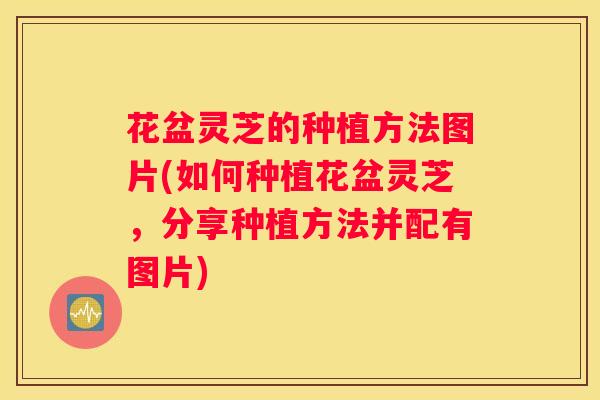 花盆灵芝的种植方法图片(如何种植花盆灵芝，分享种植方法并配有图片)
